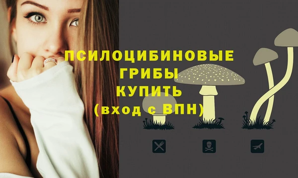 индика Богородск