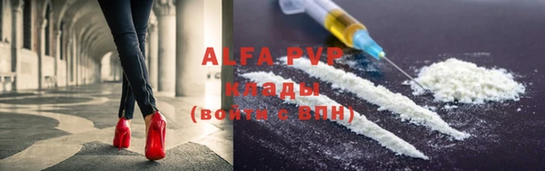 индика Богородск