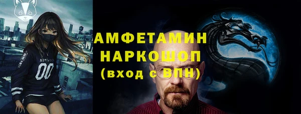 индика Богородск