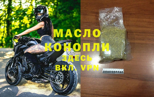 индика Богородск