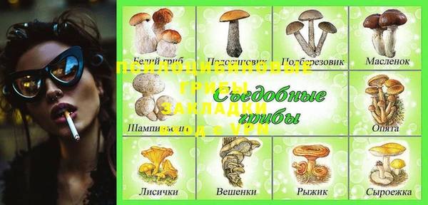 ALPHA PVP Богданович