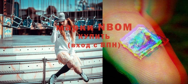 индика Богородск