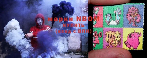индика Богородск