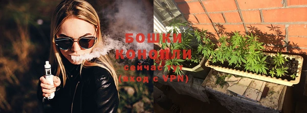 стаф Тында