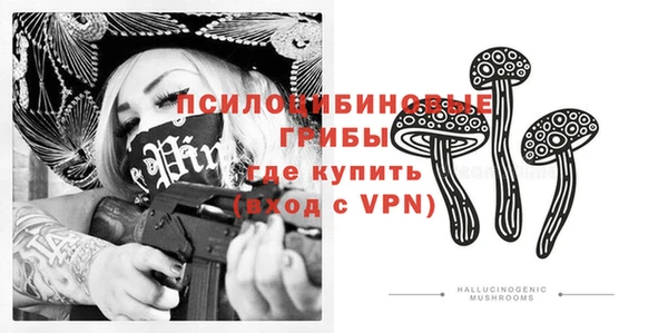 прущие крисы Богородицк