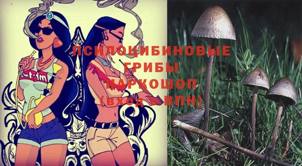 индика Богородск