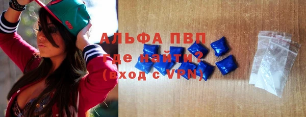 индика Богородск